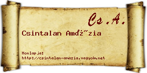 Csintalan Amázia névjegykártya